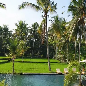 https://bhanuswari-villas-ubud.ubudhotelsnow.com